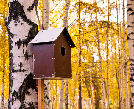 Starling houseの写真素材