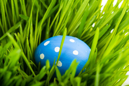Easter eggs on green grass