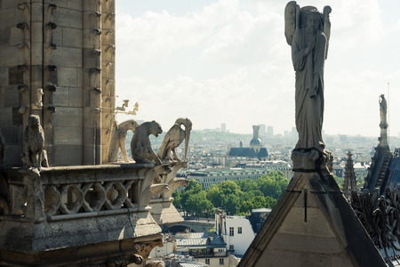 Stone demons with city of Paris on background. View from the tower of the Notre Dameの写真素材