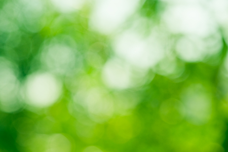 Fresh healthy green bio background with abstract blurred foliageの写真素材