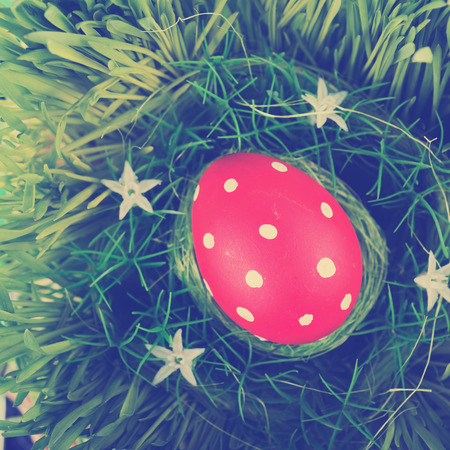 Colorful easter egg in nest on meadow.