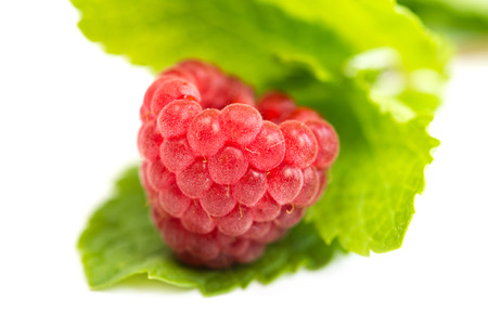Raspberry with mint