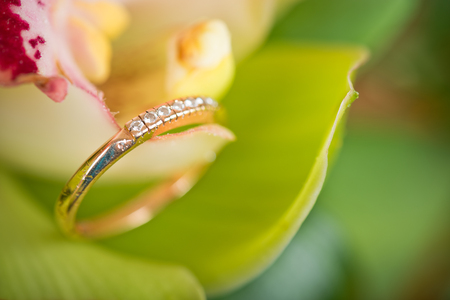 gold engagement ring in beautiful flower

の写真素材