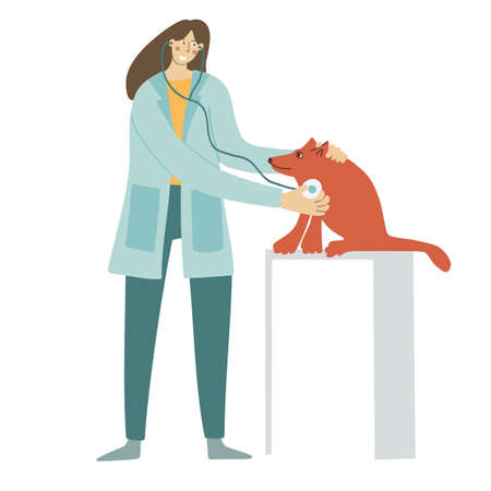 veterinarian examining dog with stethoscope, vector illustration.のイラスト素材