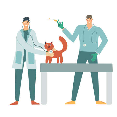 A cat in a veterinary clinic. Vet examination and vaccination, vector illustrationのイラスト素材