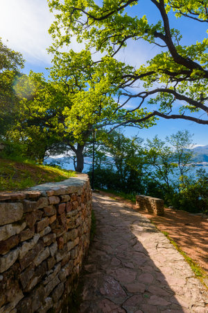 Beautiful road illuminated by the sun among the trees on the Adriatic coast in Montenegro.の写真素材