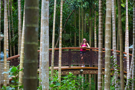 The girl stands in the middle of the picturesque bridge, Yalong Bay Tropic Paradise Forest Park, Hainan, China.の写真素材