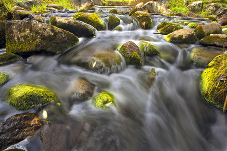 A small waterfall among the wet stones covered with moss and green grass. The rapid flow of the...