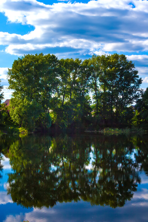 Green trees are reflected on the calm water surface of the pond along with a blue sky and white clouds in the countryside.の写真素材