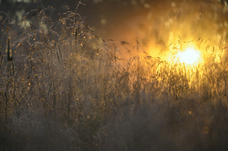 Sunrise,Russiaの写真素材