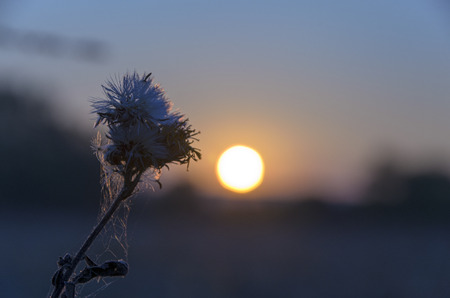 Sunriseの写真素材