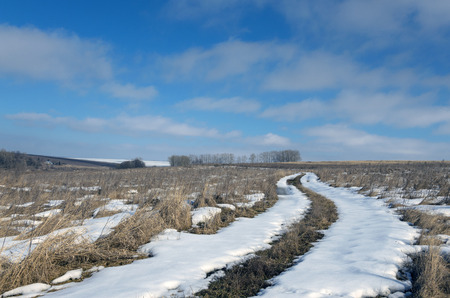 Springの写真素材