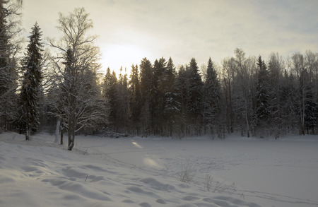 Winter landscape in Russiaの写真素材