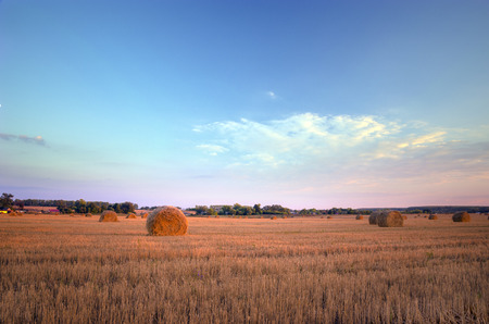 spool on field