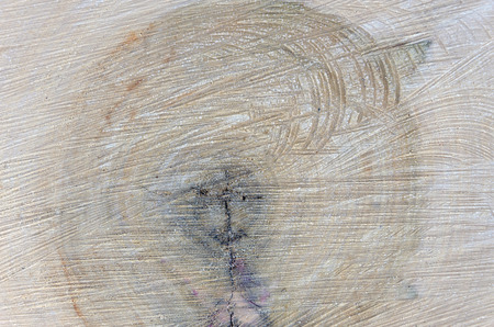 Saw cut woodの写真素材