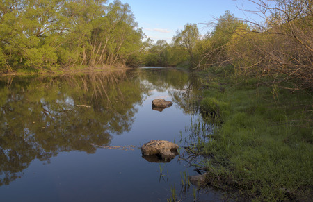 Summer landscape with river
