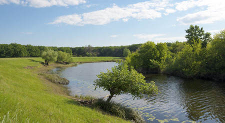 Sunny summer landscape with river