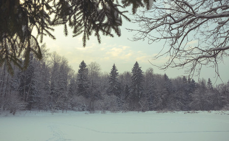 winter landscapeの写真素材