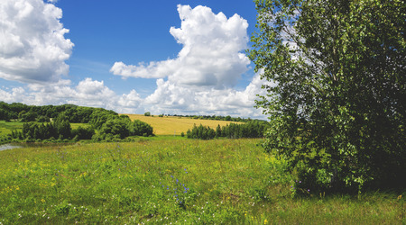 summer landscapeの写真素材
