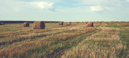 straw balesの写真素材