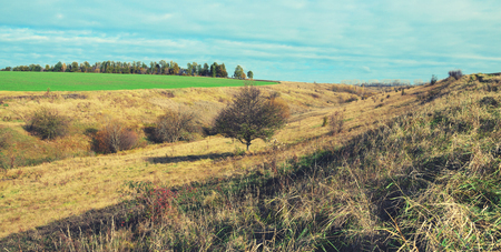Sunny autumn landscapeの写真素材