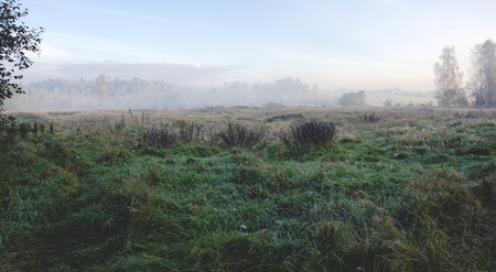 autumn landscapeの写真素材