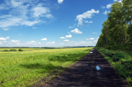 Sunny summer landscape with ground countryside roadの写真素材