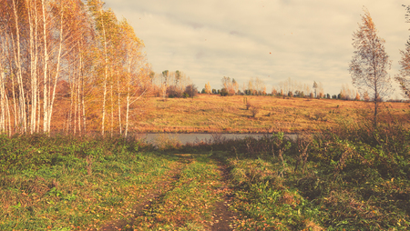 Autumn scene.の写真素材