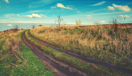 Autumn landscape with gound roadの写真素材