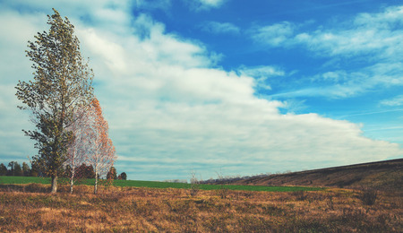 autumn landscapeの写真素材