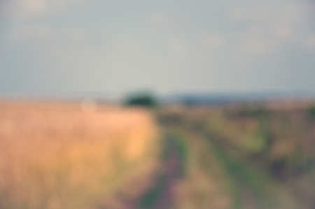 Defocused image of countryside ground road.Sunny summer day.Natural background.の写真素材
