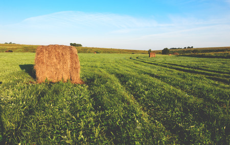 Field after harvesting.Straw bales at sunrise.の写真素材