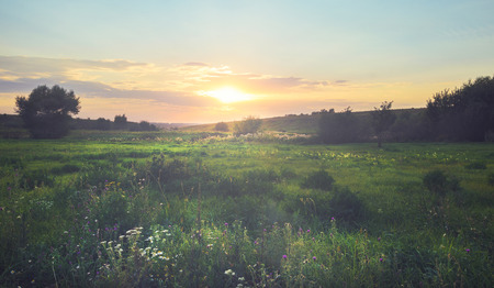 Beautiful summer scene with setting sunの写真素材