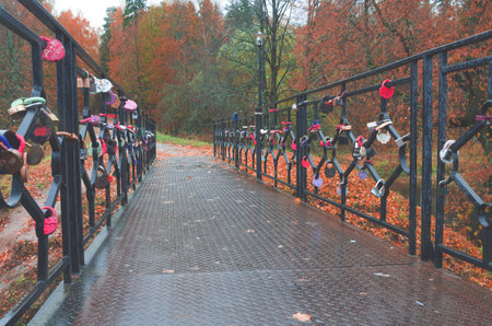 Love padlocks on the bridge