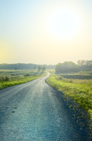 Asphalt road disappearing into the distance.Sunny summer landscape.Green trees along the way.の写真素材