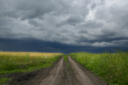 Empty ground country road passing through the wheat and rye fields on the background of overcast stormy sky.の写真素材