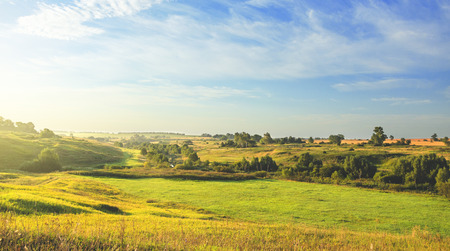 Sunny country summer landscapeの写真素材