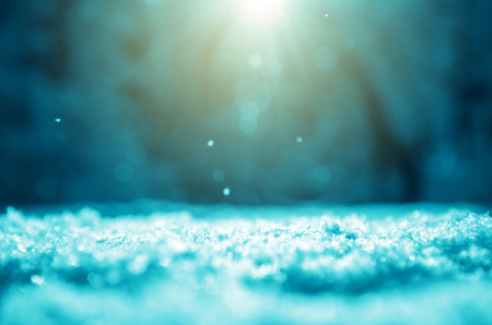 Sunny winter backgroundの写真素材