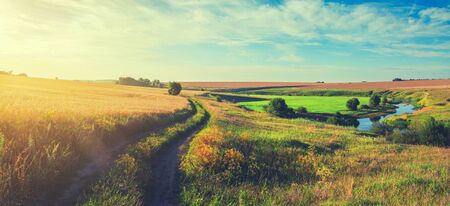 Sunny summer landscape
