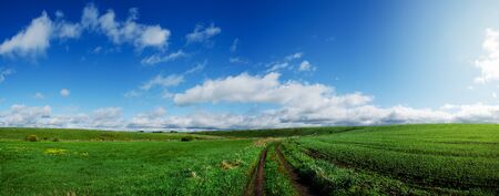 Spring panoramic landscapeの写真素材