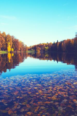 Autumn landscape with lake in park