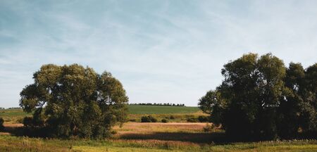 Landscape with trees and fields