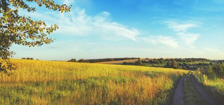Summertime.Sunny summer evening.Calm weather.Rural summer landscape with ground country road passing...