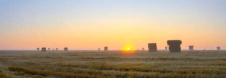 Haystacks in farm field during foggy sunriseの写真素材