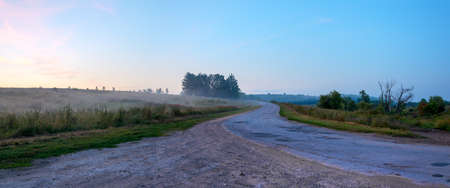Summer rural landscape with country road and fields during foggy sunrise.の写真素材