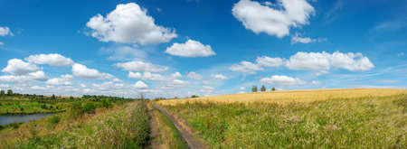 Sunny rural russian landscape with country road, river and golden fieldsの写真素材