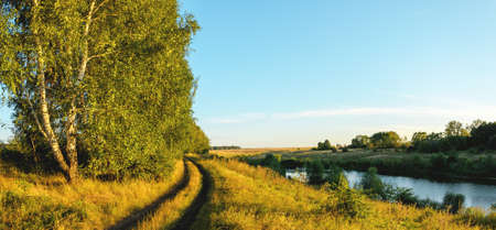 Summer rural landscape with ground road and birch trees during sunset.