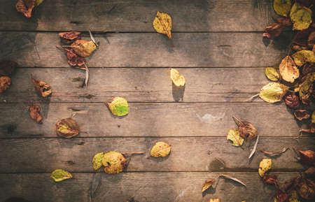 Autumn flat background of dry yellow and orange leaves on wooden table during sunny october eveningの写真素材