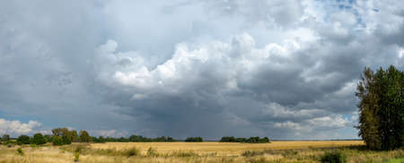 Rural panoramic landscape with dark stormy clouds in dramatic sky over the golden farm fields