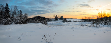 Serene winter landscape with snow covered trees and fields during sunriseの写真素材